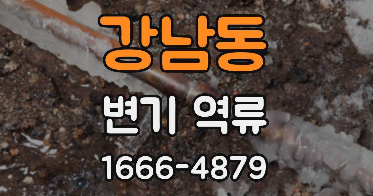 강남동 변기 역류