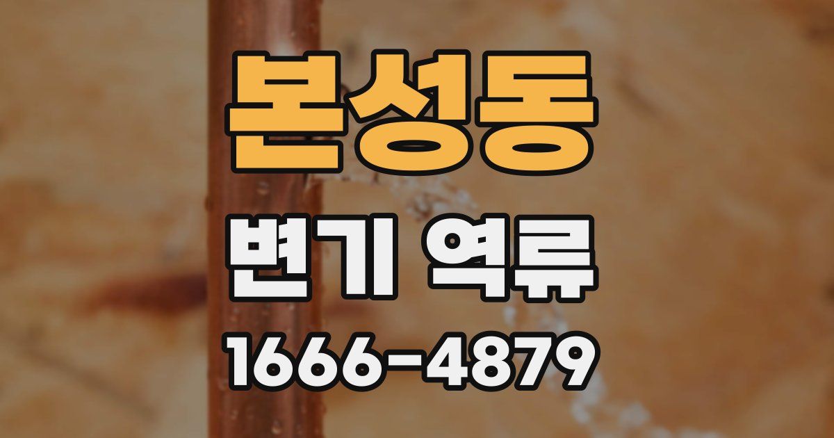 본성동 변기 역류