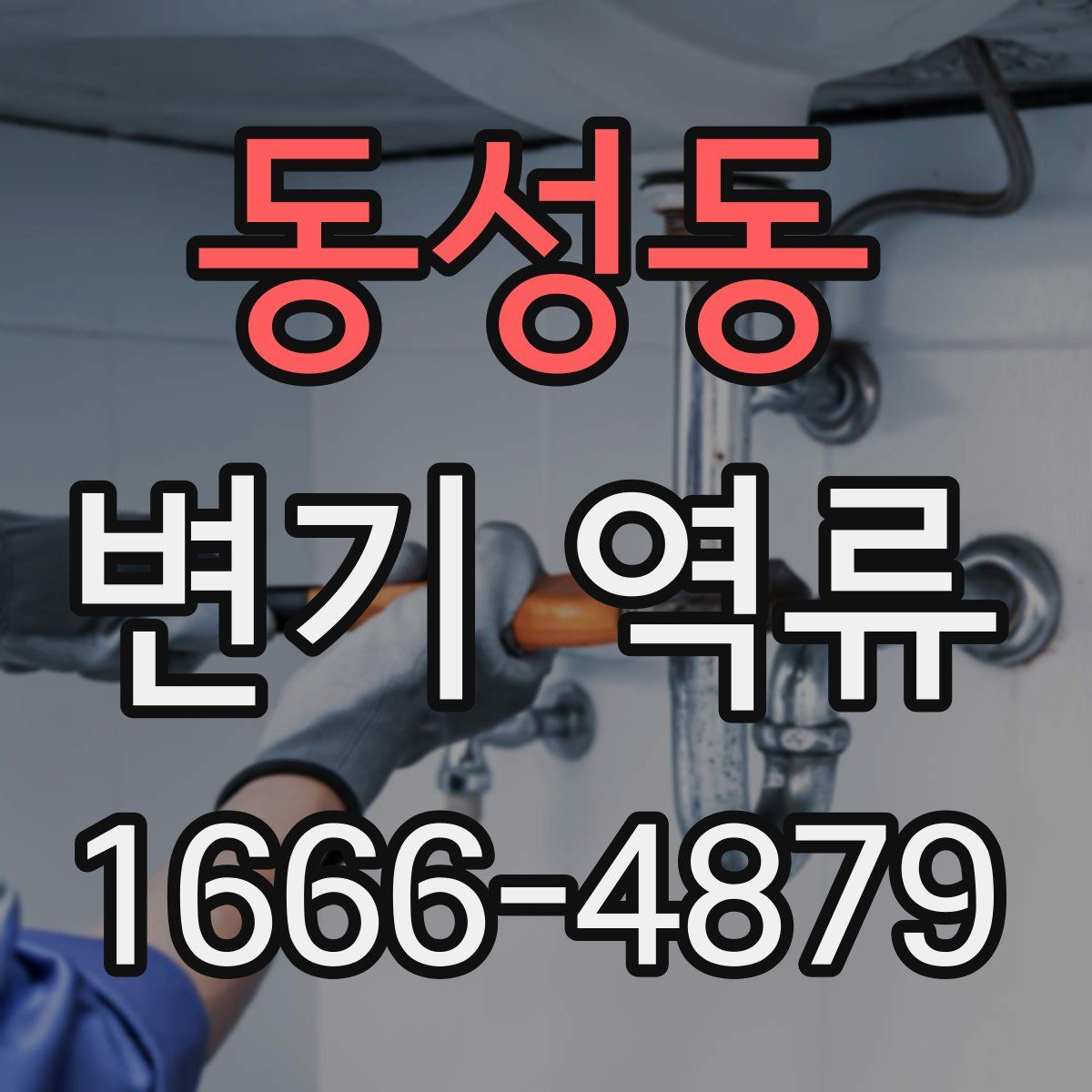 동성동 변기 역류
