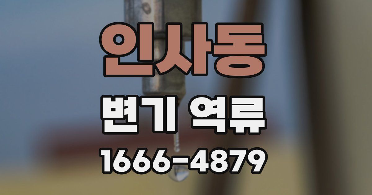인사동 변기 역류