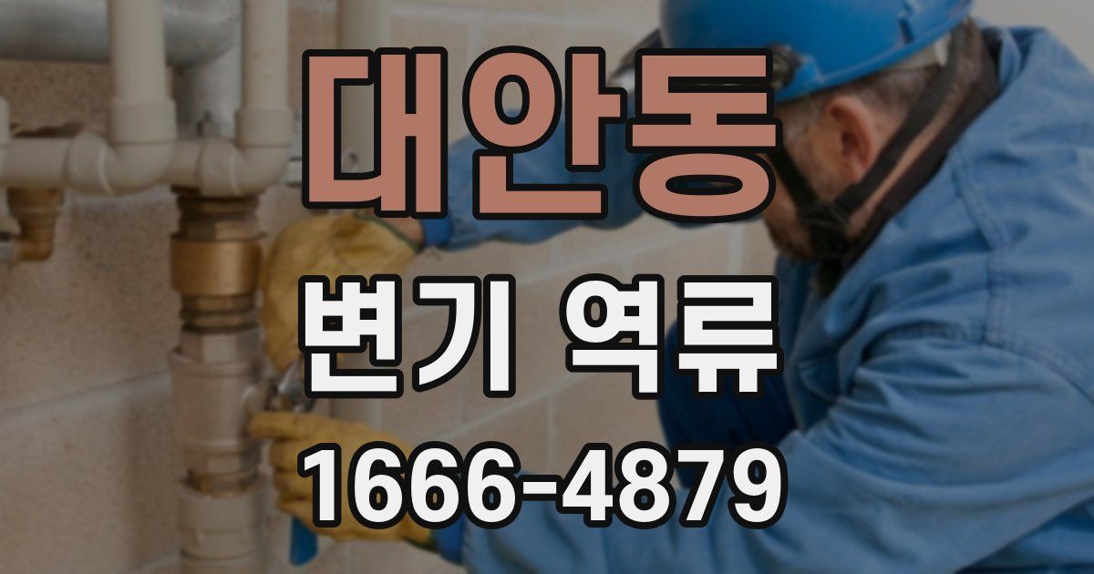 대안동 변기 역류
