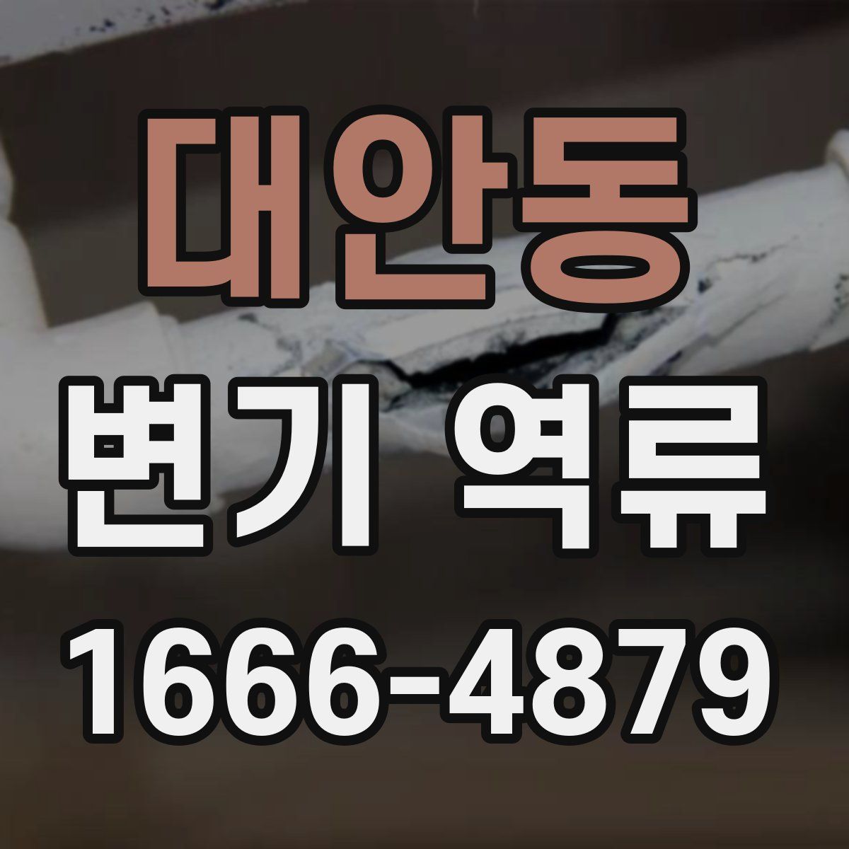 대안동 변기 역류