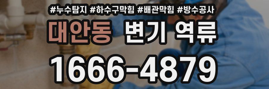 대안동 변기 역류
