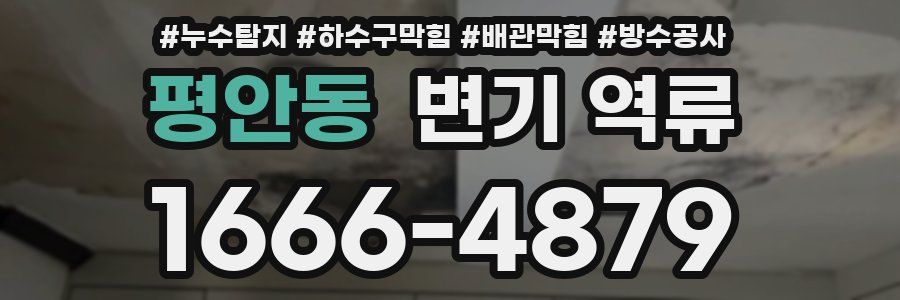 평안동 변기 역류