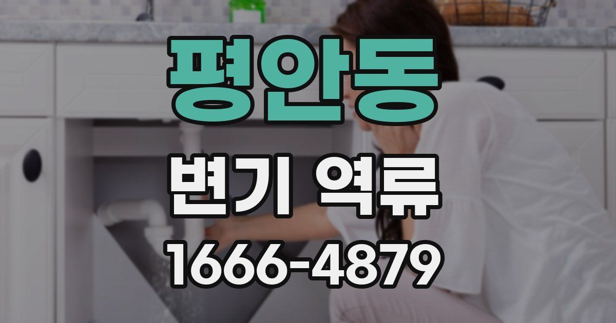 평안동 변기 역류