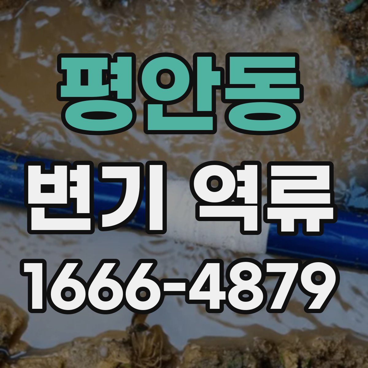 평안동 변기 역류