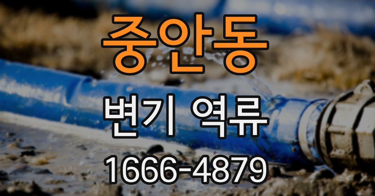 중안동 변기 역류