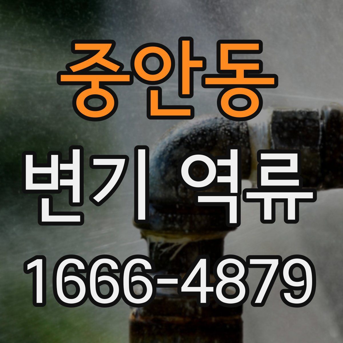 중안동 변기 역류