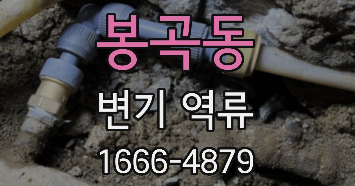 봉곡동 변기 역류