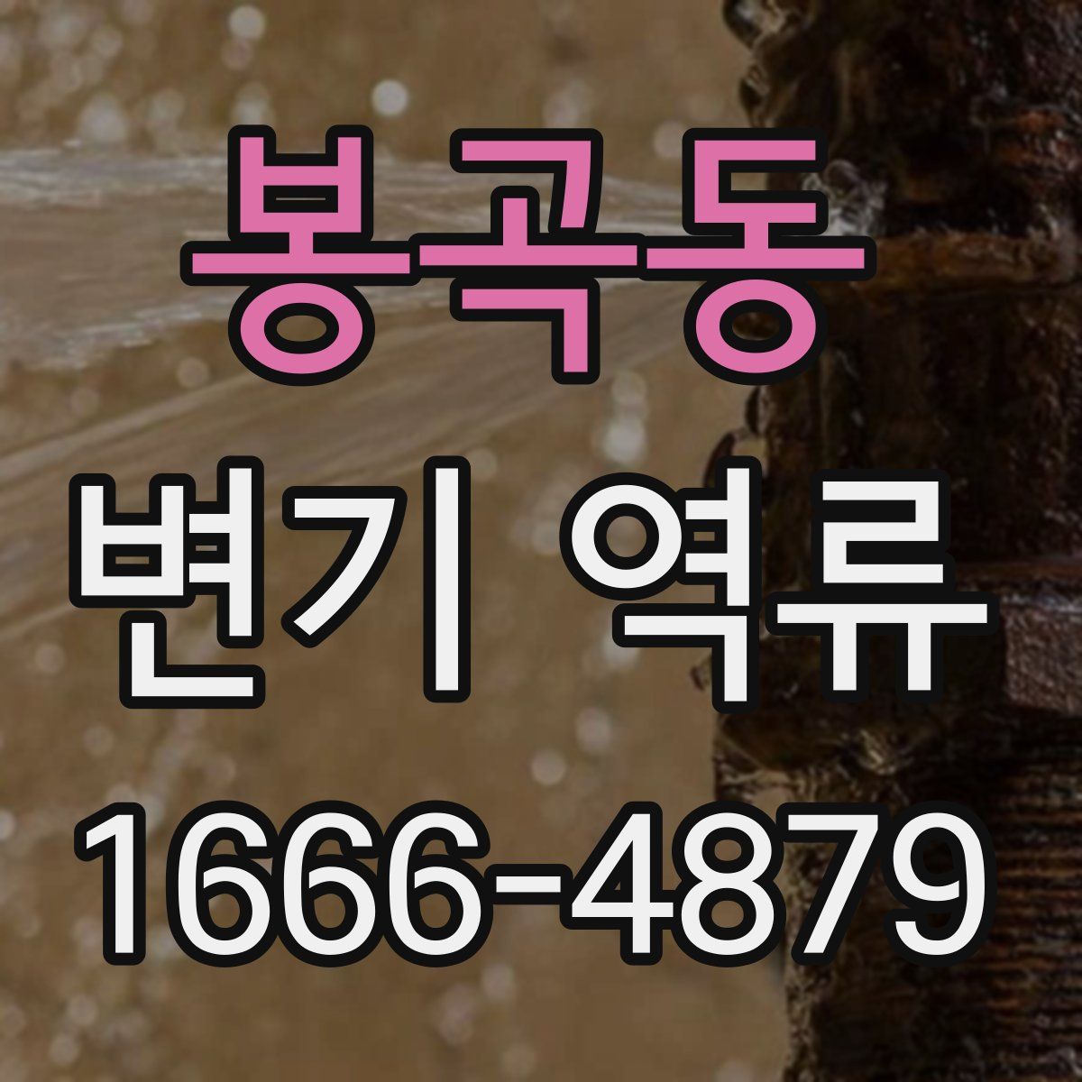 봉곡동 변기 역류