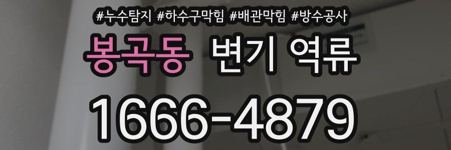 봉곡동 변기 역류