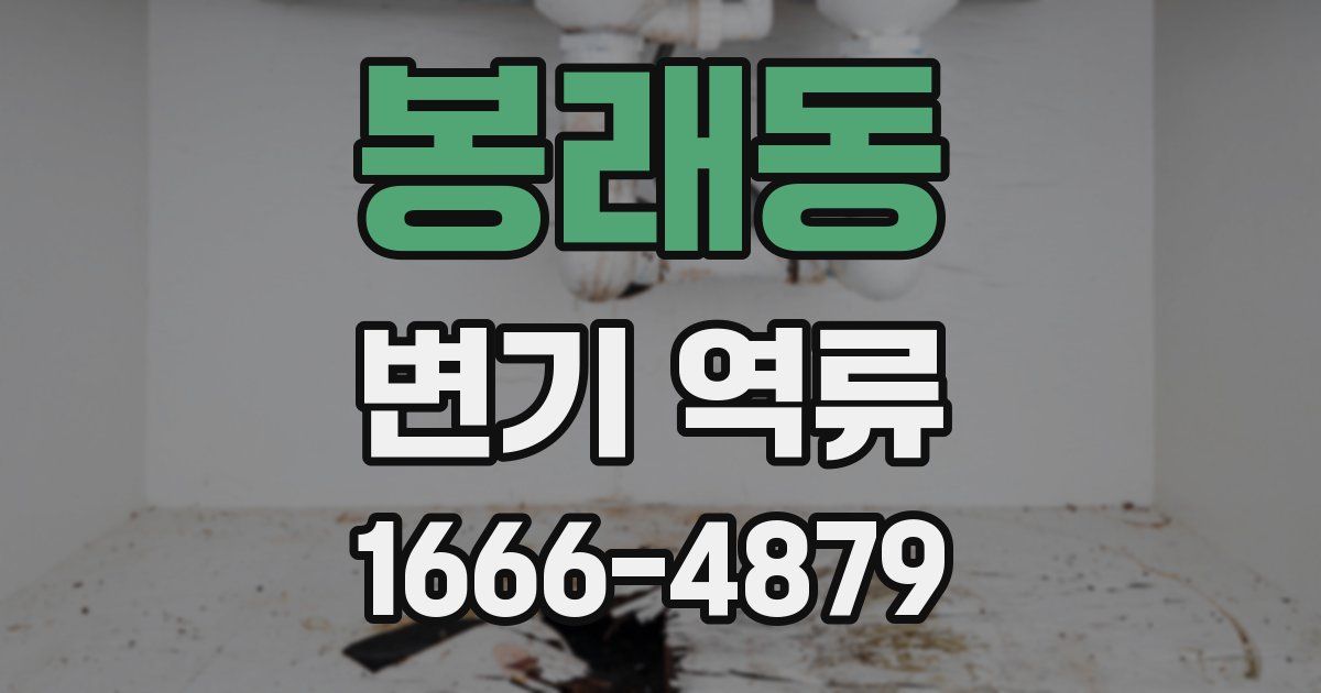봉래동 변기 역류