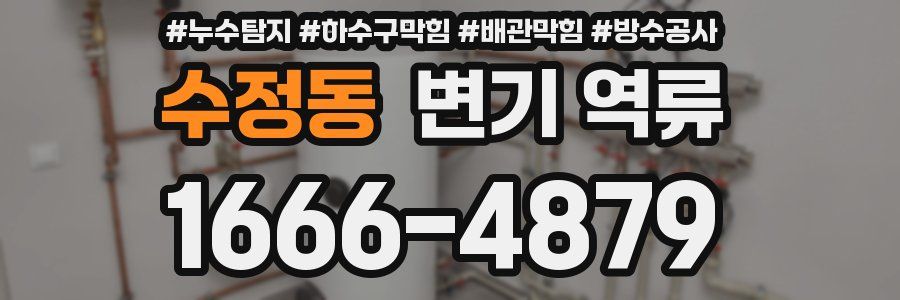수정동 변기 역류
