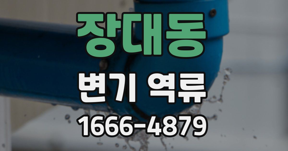 장대동 변기 역류