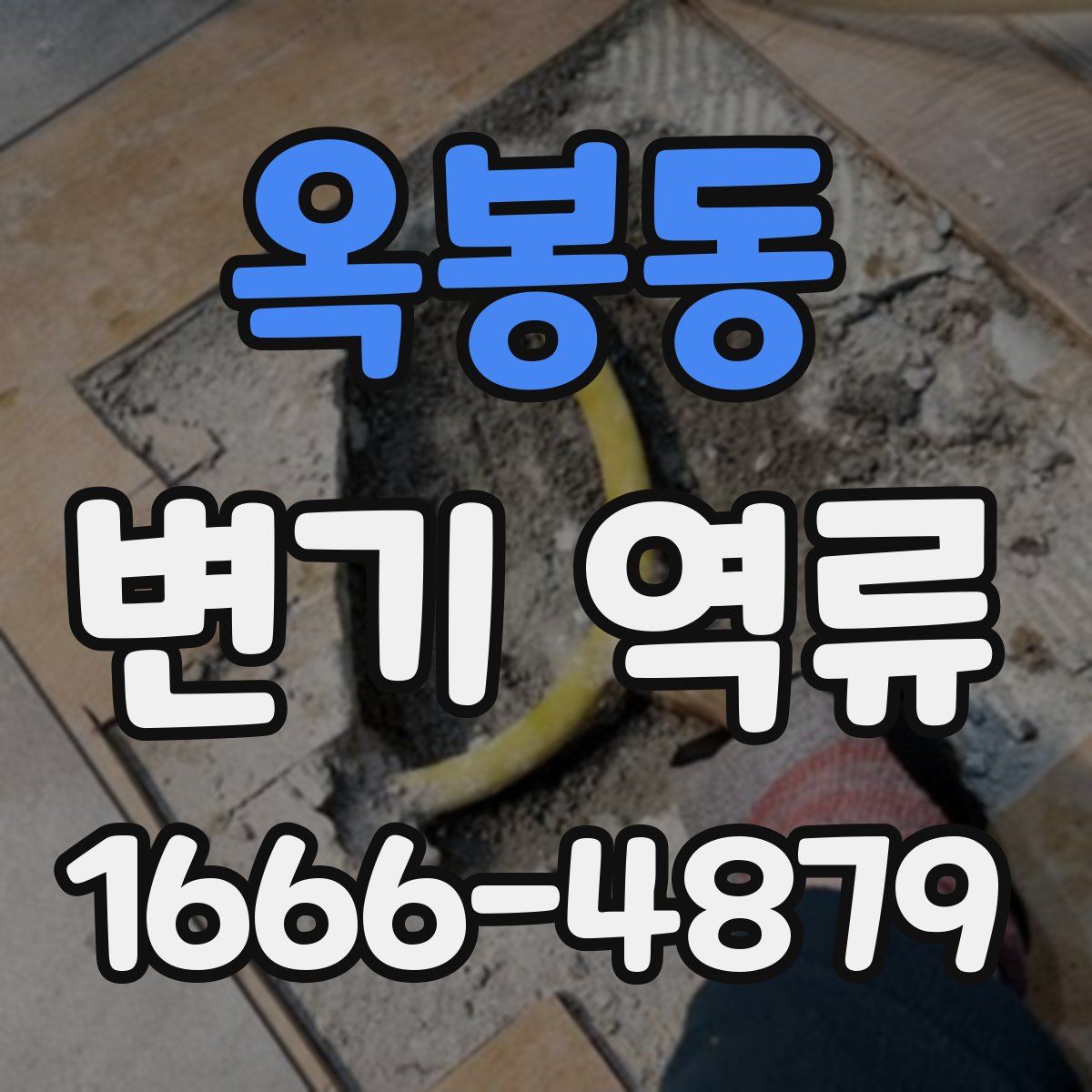 옥봉동 변기 역류