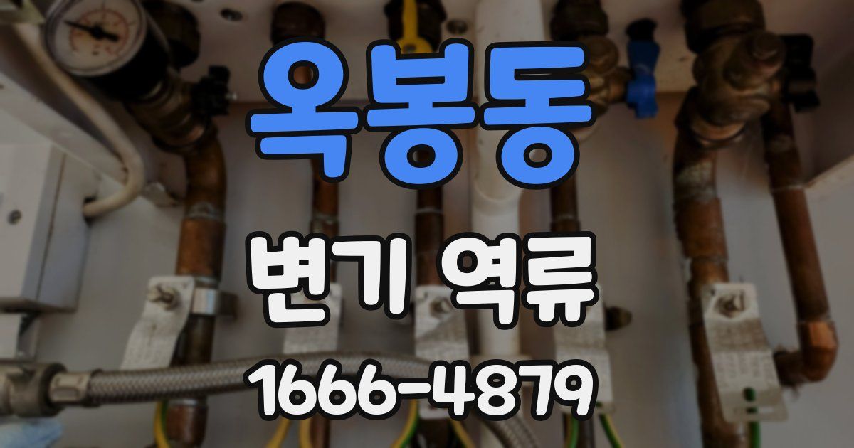 옥봉동 변기 역류