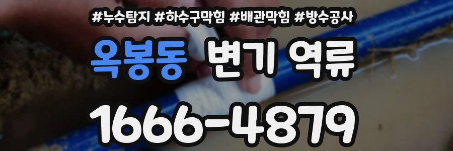 옥봉동 변기 역류