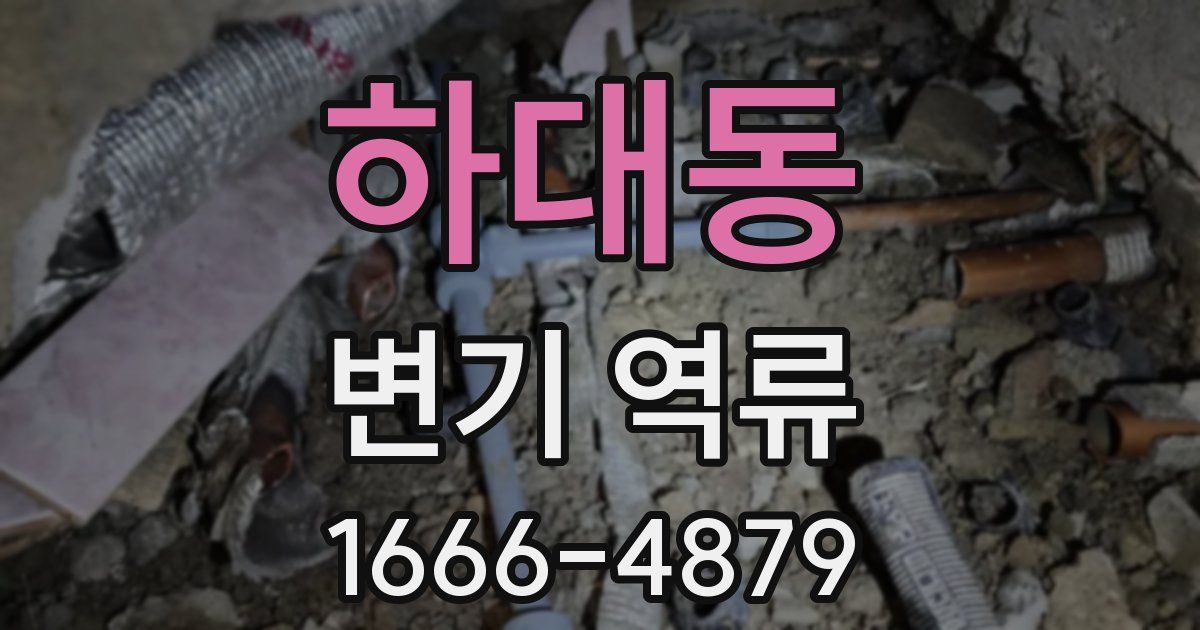 하대동 변기 역류