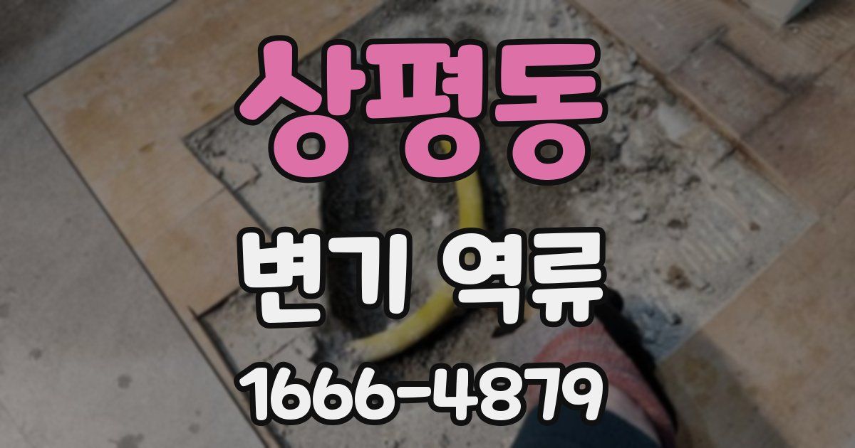 상평동 변기 역류