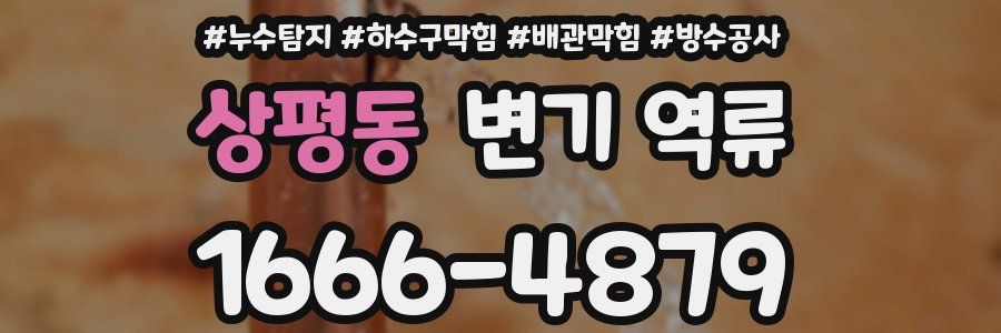 상평동 변기 역류