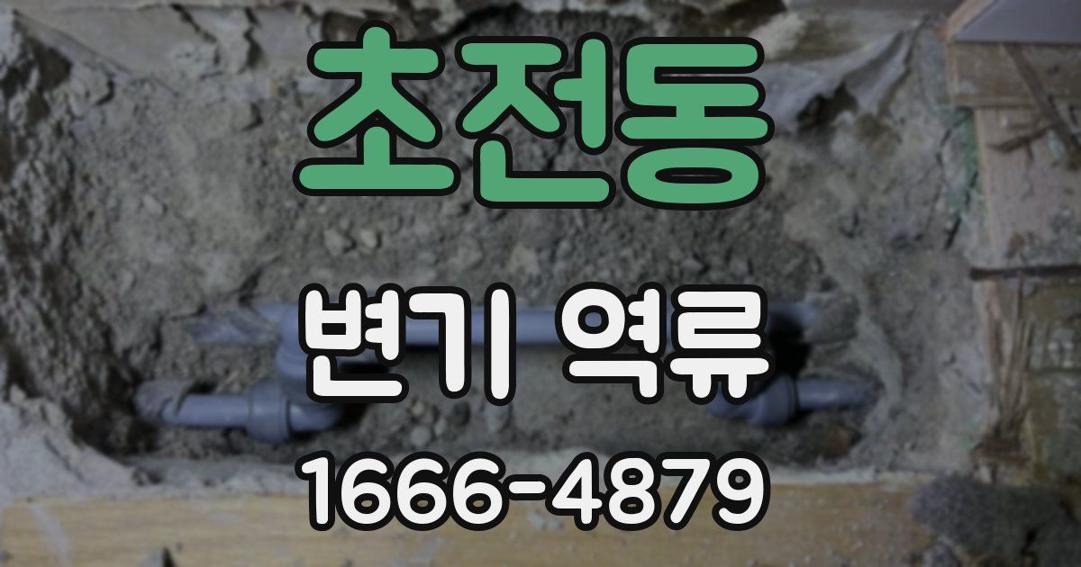 초전동 변기 역류