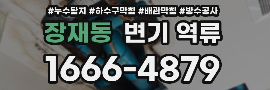 장재동 변기 역류