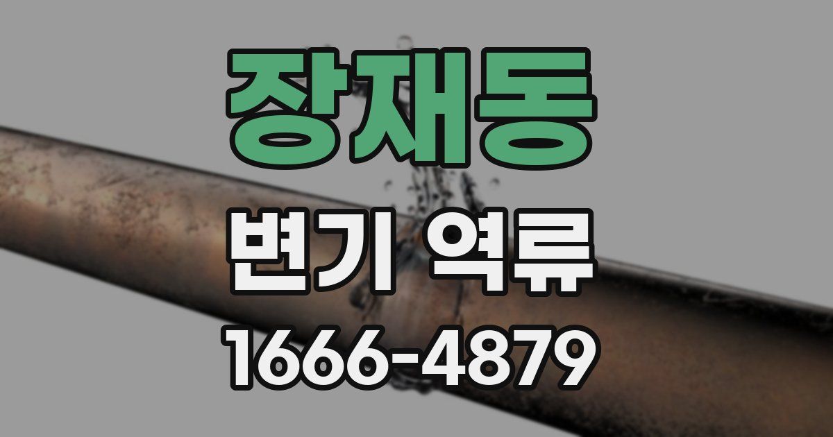 장재동 변기 역류