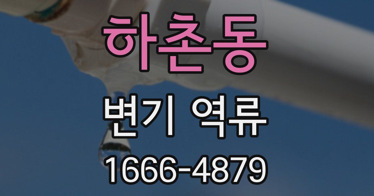 하촌동 변기 역류
