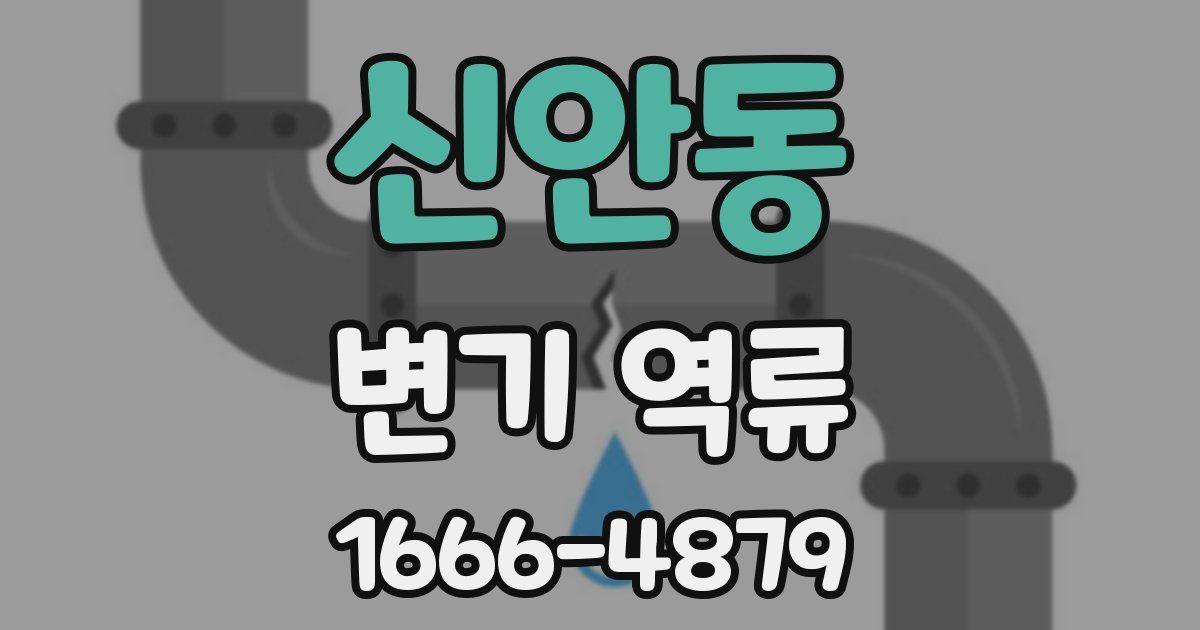 신안동 변기 역류