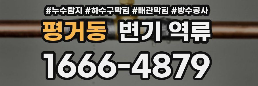 평거동 변기 역류