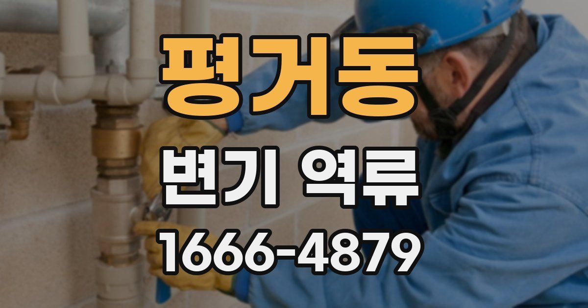 평거동 변기 역류