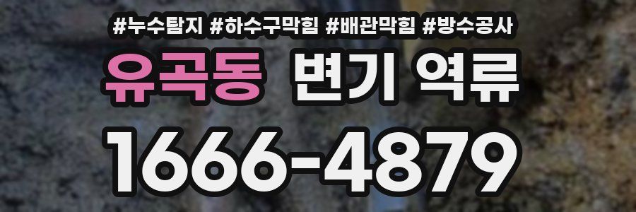 유곡동 변기 역류