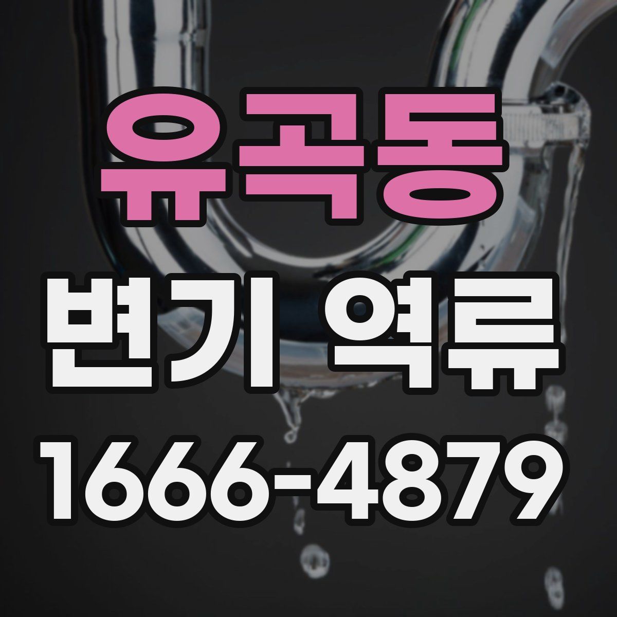 유곡동 변기 역류