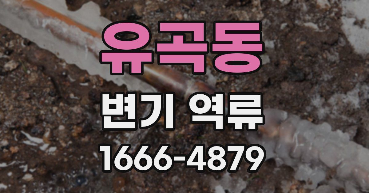 유곡동 변기 역류