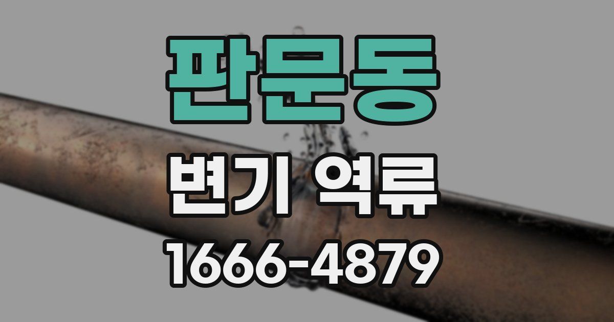 판문동 변기 역류