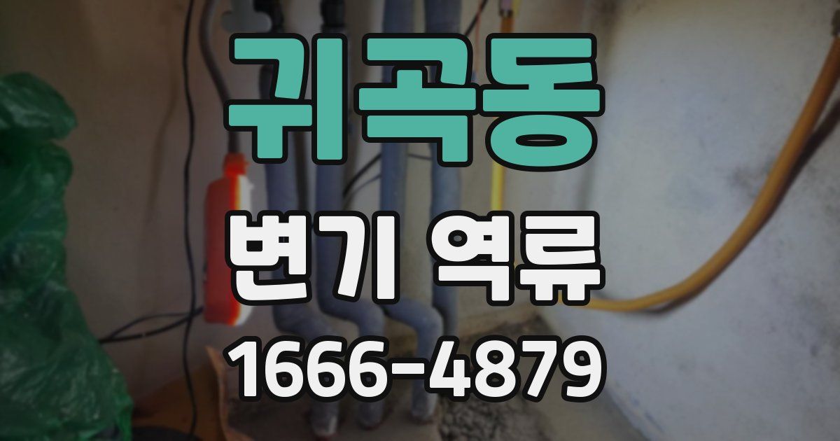 귀곡동 변기 역류