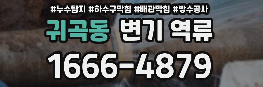 귀곡동 변기 역류