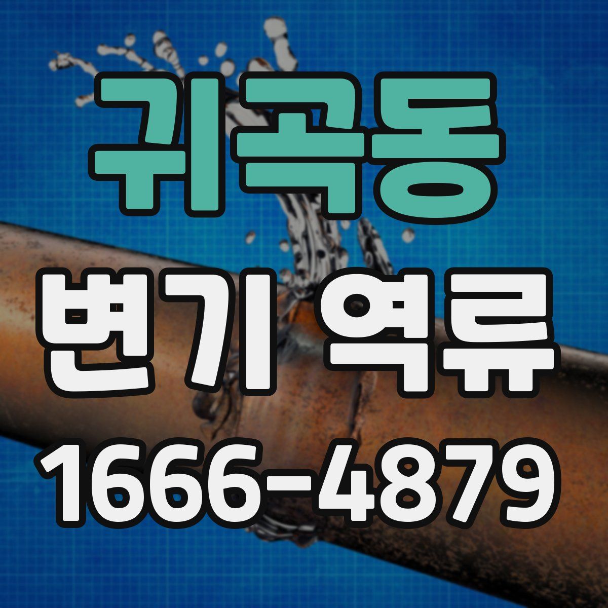 귀곡동 변기 역류