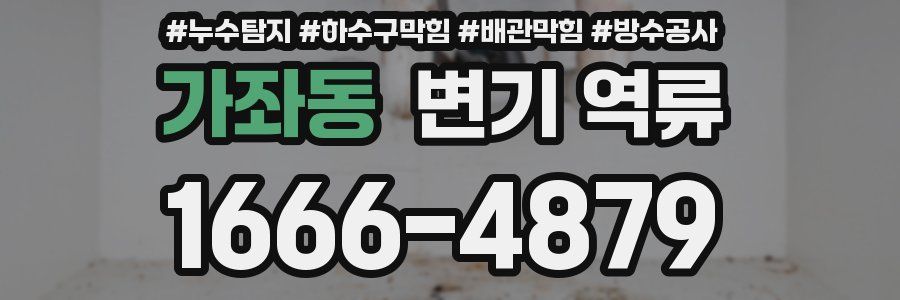 가좌동 변기 역류