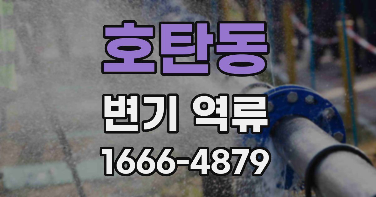 호탄동 변기 역류