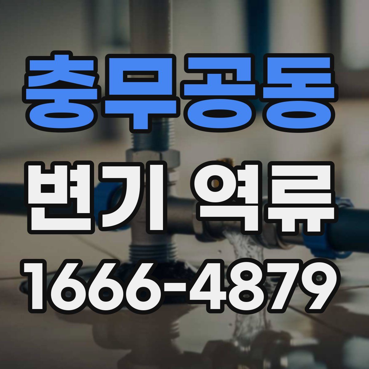 충무공동 변기 역류