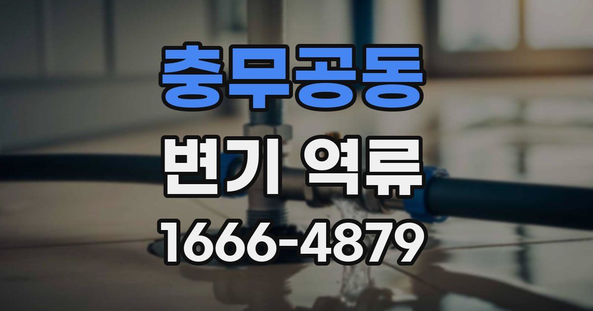 충무공동 변기 역류