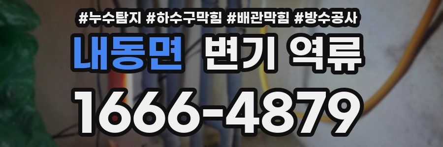 내동면 변기 역류