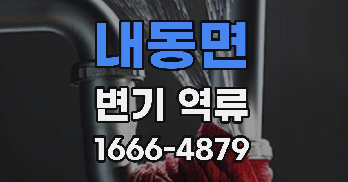 내동면 변기 역류
