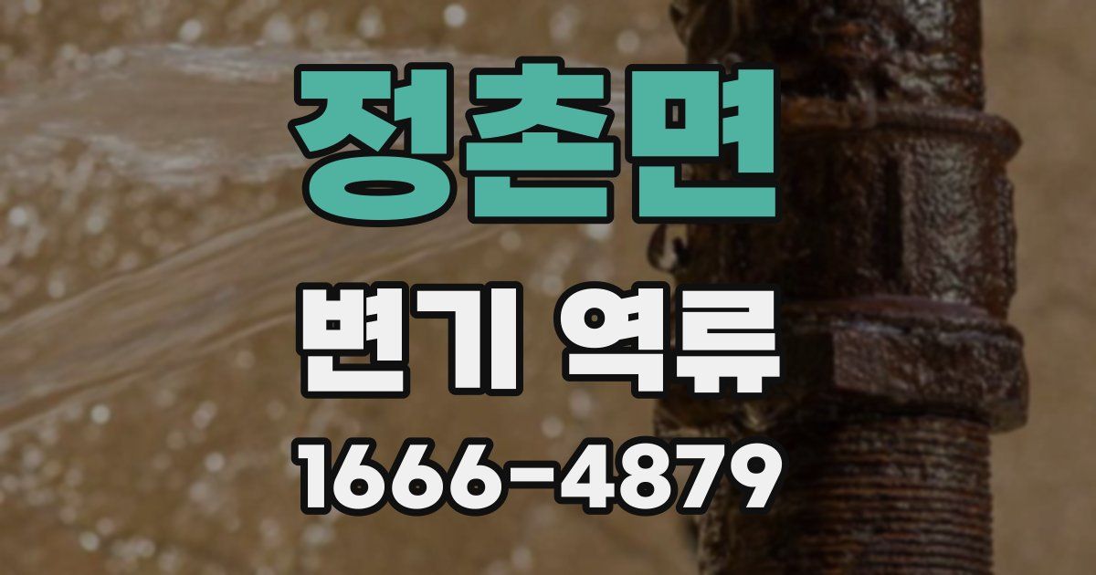 정촌면 변기 역류