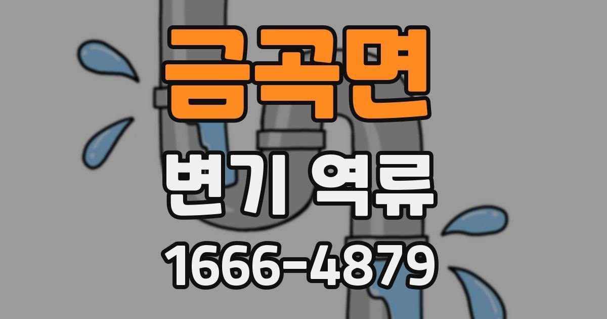 금곡면 변기 역류