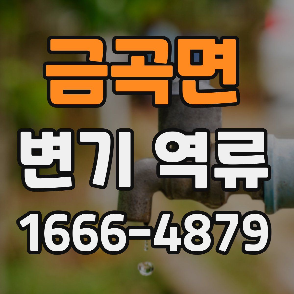 금곡면 변기 역류
