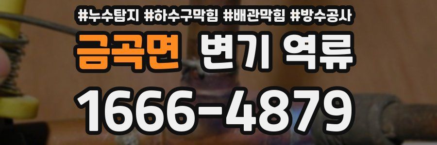 금곡면 변기 역류
