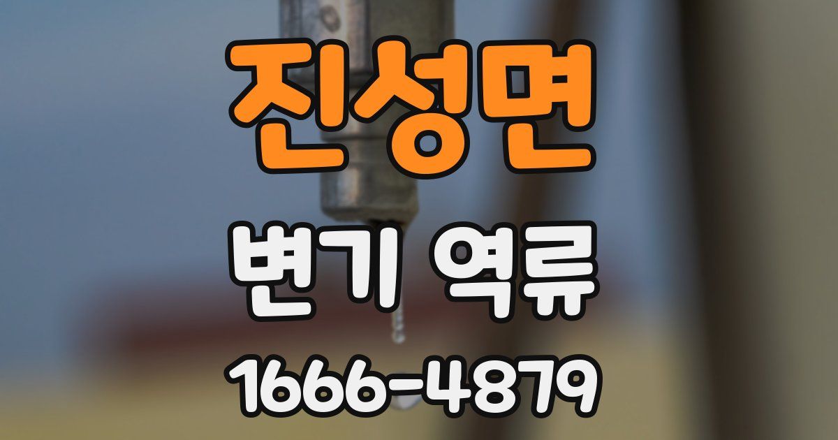 진성면 변기 역류