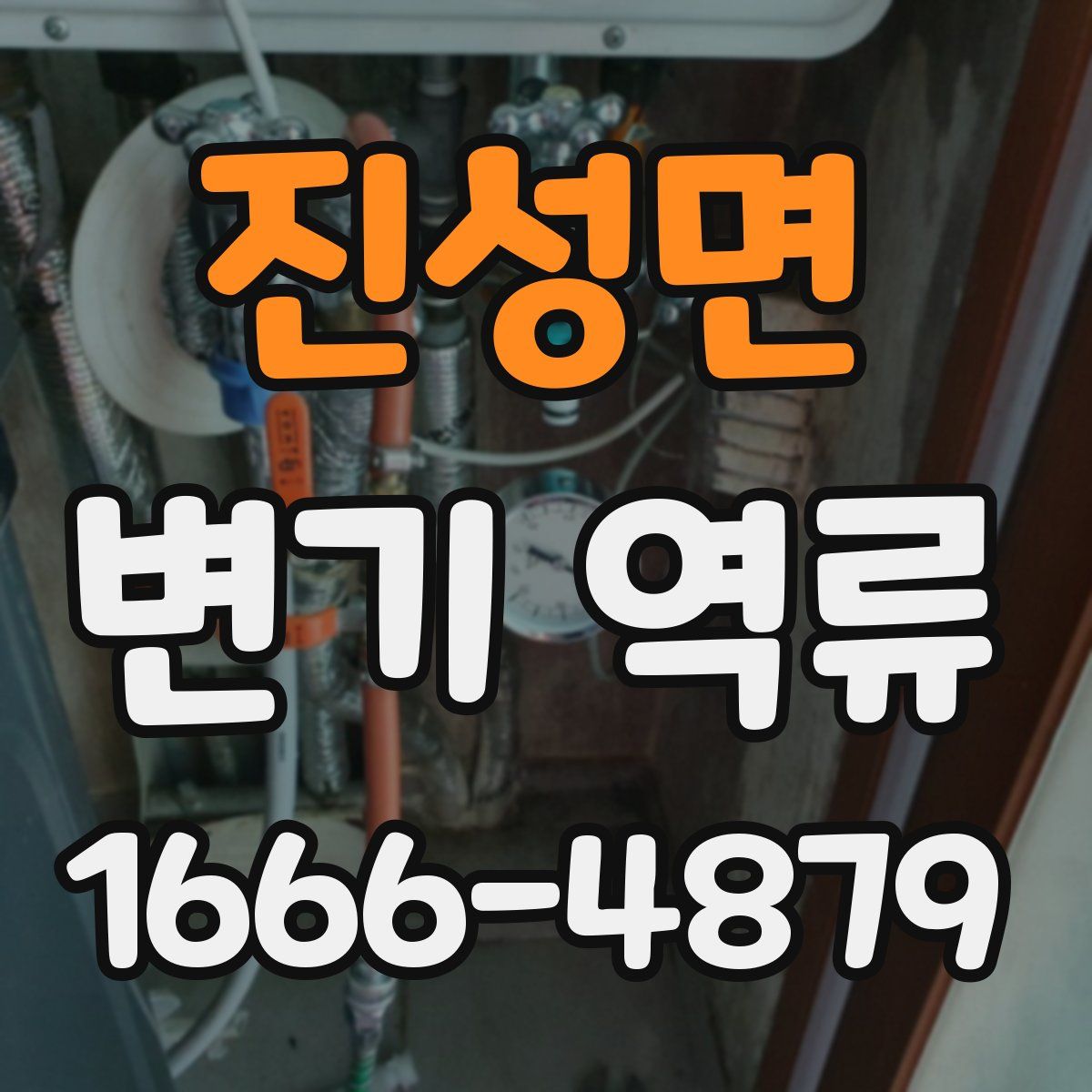진성면 변기 역류